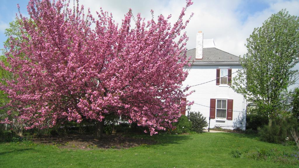 The Artist'S Inn And Gallery Terre Hill Bagian luar foto